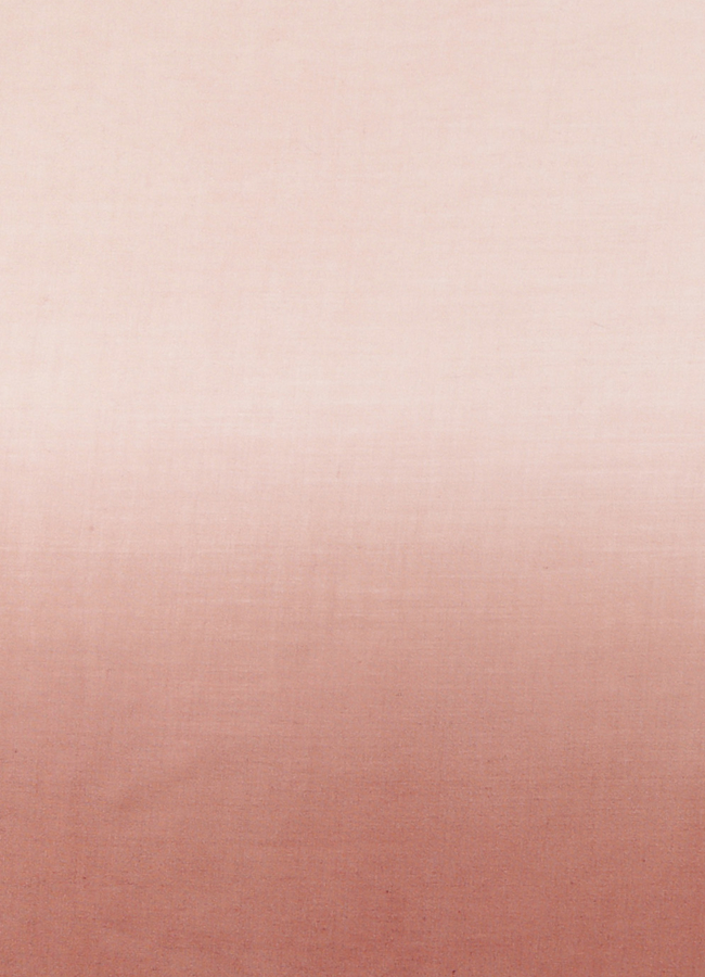 фото Палантин модель № А-53