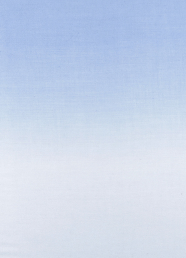 фото Шарф модель № А-51